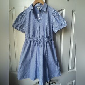 J. Crew Blue and White Striped Cotton Button-Down Dress